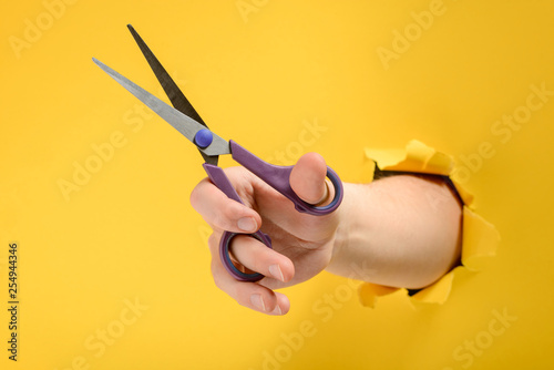 Quadro su tela Hand holding scissors