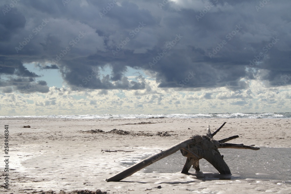 Morze Plaża Czołpino