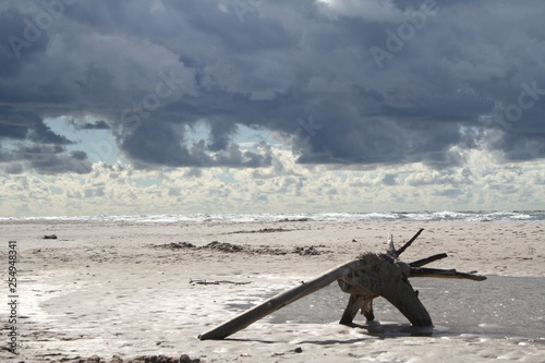 Obraz na płótnie Morze Plaża Czołpino w salonie