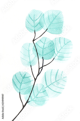 watercolor botanical illustration