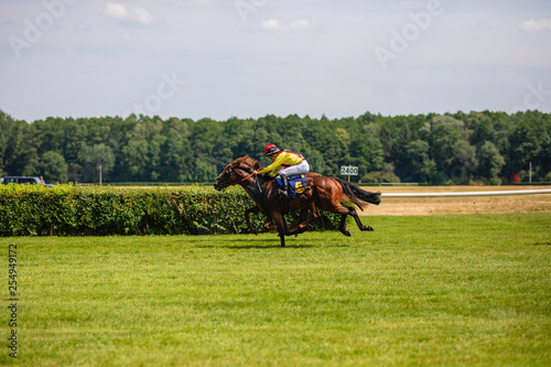 Luxury high fashion show on racecourse