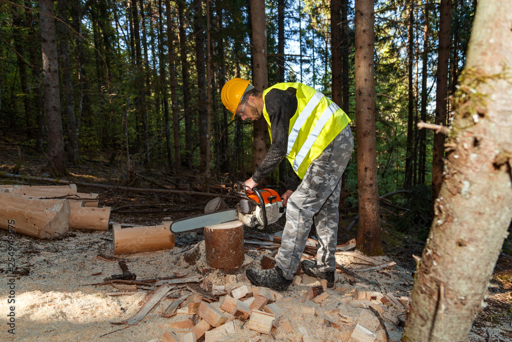 Lumberjack working with chainsaw in a forest Lumberjack working with chainsaw in a forest