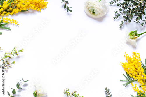 Floral spring frame with mimosas on the white background. Top view. Copy space
