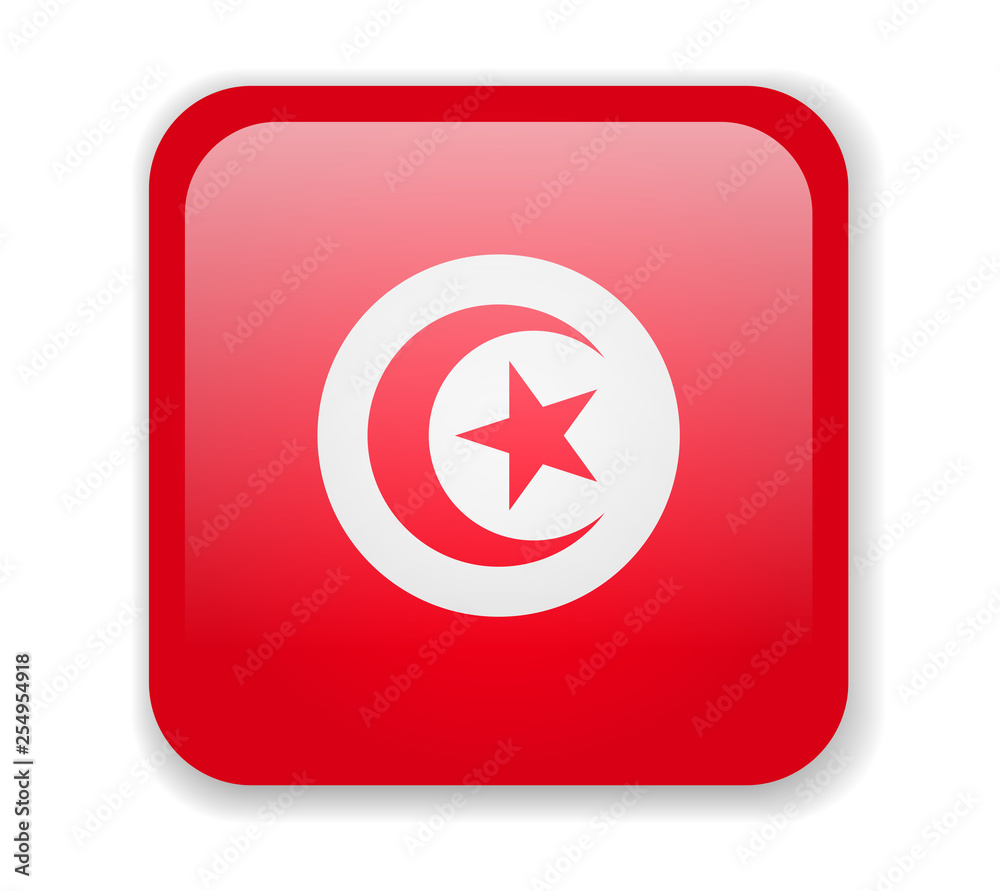 Tunisia flag bright square icon on a white background Tunisia flag bright square icon on a white background