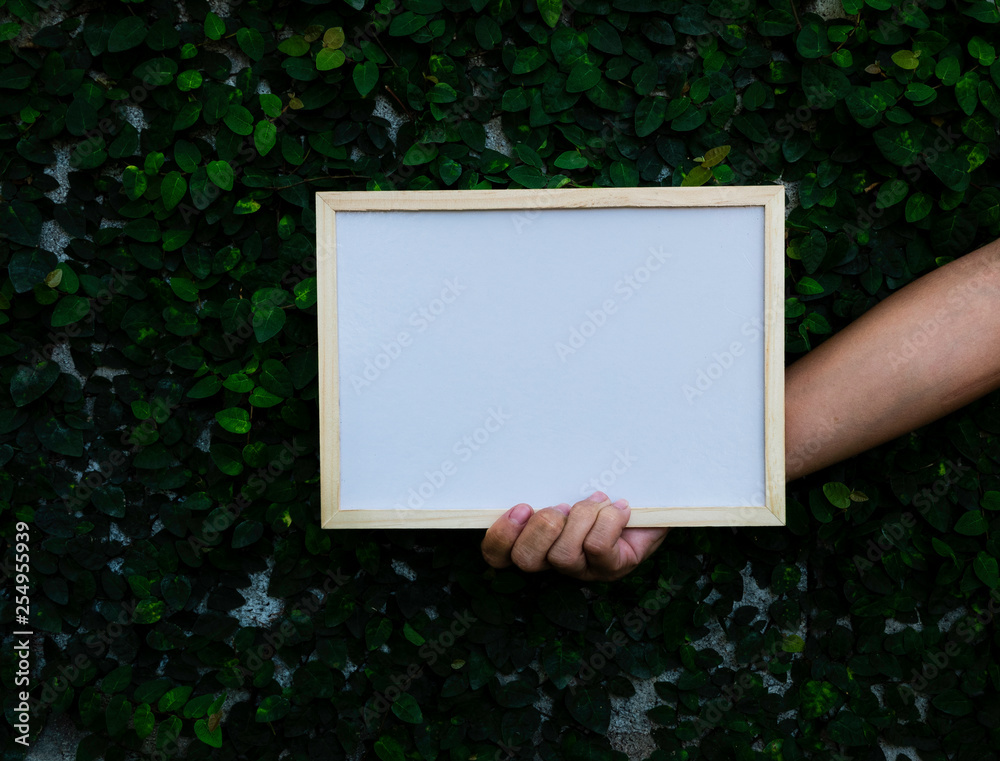 Asian woman hand is holding Whiteboard for write your idea text over nature background. Natural and sign concept.