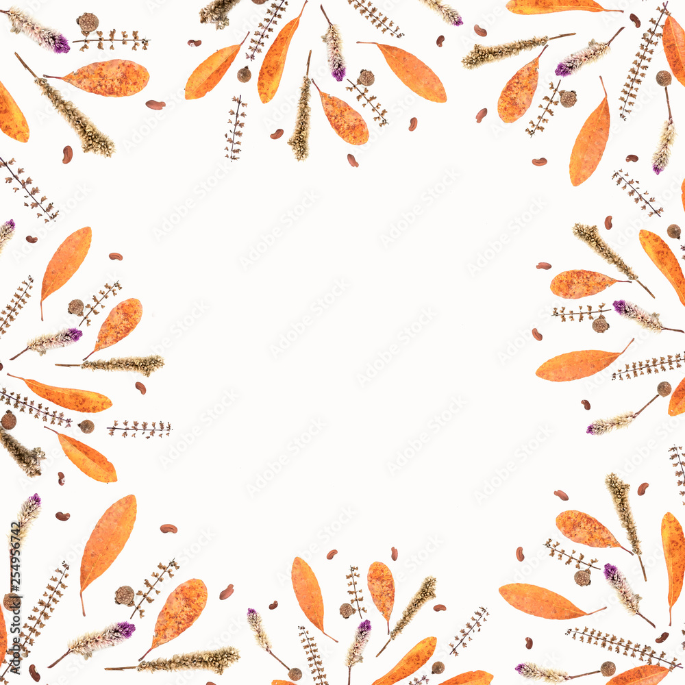 Autumn frame composition made of falling autumn leaves and petal on white background with space for your ideas texts. top view. Autumn frame composition made of falling autumn leaves and petal on white background with space for your ideas texts. top view.