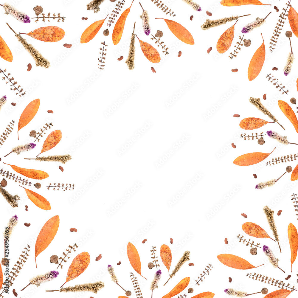 Autumn frame composition made of falling autumn leaves and petal on white background with space for your ideas texts. top view. Autumn frame composition made of falling autumn leaves and petal on white background with space for your ideas texts. top view.