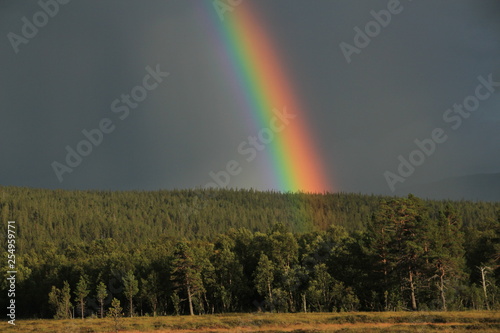 Rainbow in Sweden