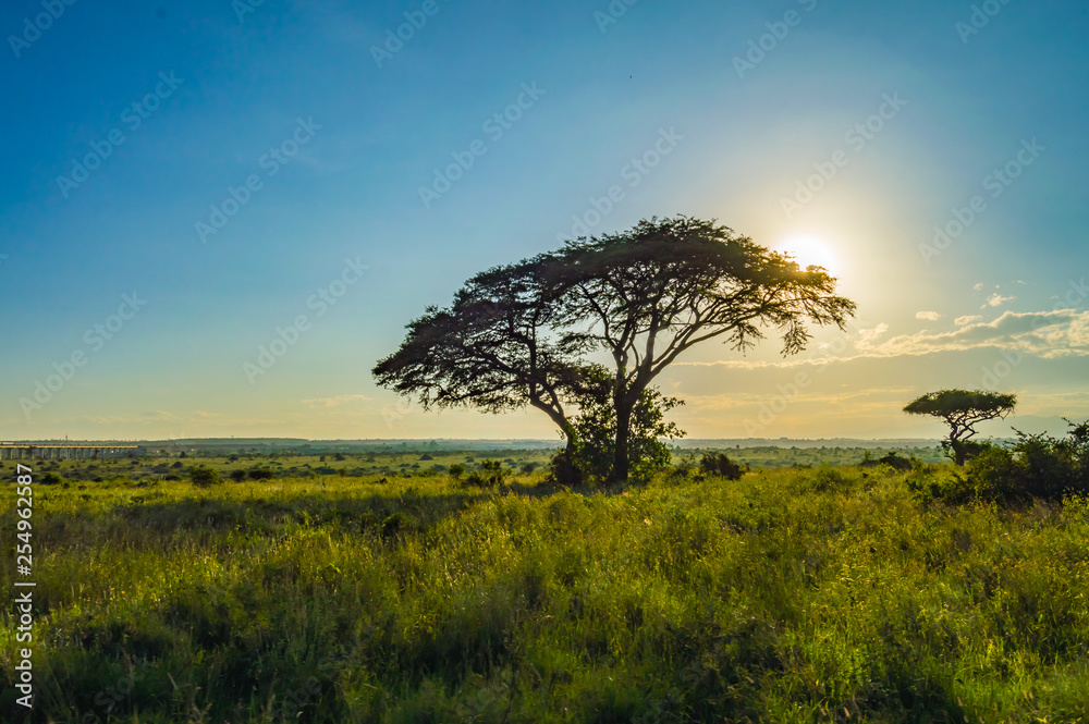 View of the sunset on the savannah of Nairobi