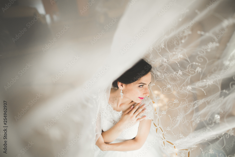 Portrait of beautiful bride with fashion veil at wedding morning Portrait of beautiful bride with fashion veil at wedding morning
