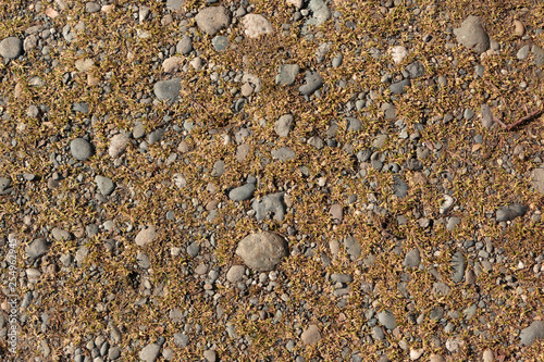 Gravel and dirt texture background