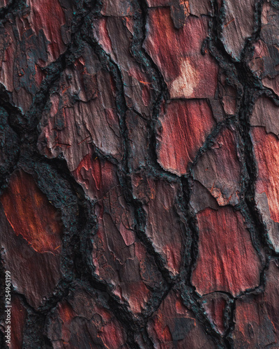 Wooden Bark Texture Red