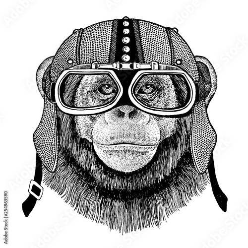 Animal wearing motorcycle, aero helmet. Biker illustration for t-shirt, posters, prints.