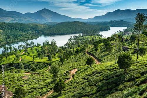 Hills , lake and tee plantations in Kerala photo