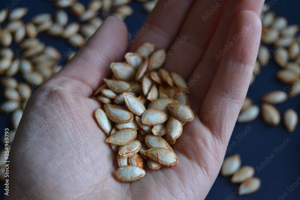 dry pumpkin seeds on the hand in the dark background dry pumpkin seeds on the hand in the dark background