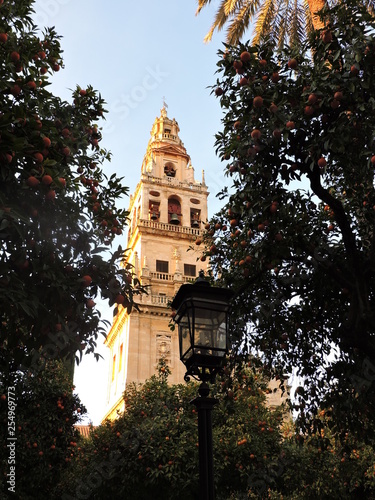 La Torre-Campanario surge entre naranjos, Córdoba