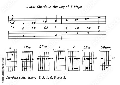 Guitar chord in the key of E major, Note and tab vector