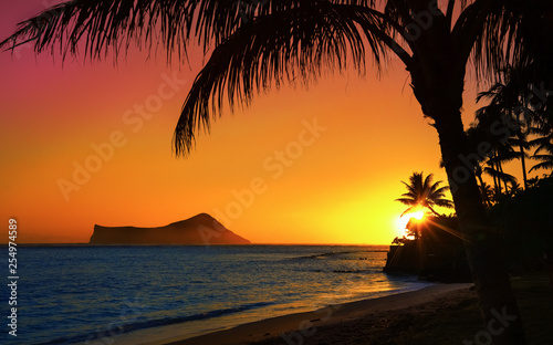 Sunset in Oahu with ocean and palm trees photo