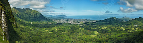 Cityscape in Oahu with mountains