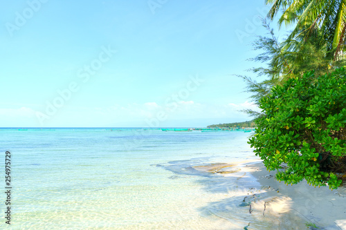 Fototapeta Naklejka Na Ścianę i Meble -  Rach Vem beach and tropical sea in Phu Quoc