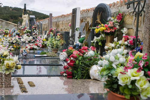 Cemetery in village of Burgos. Spain