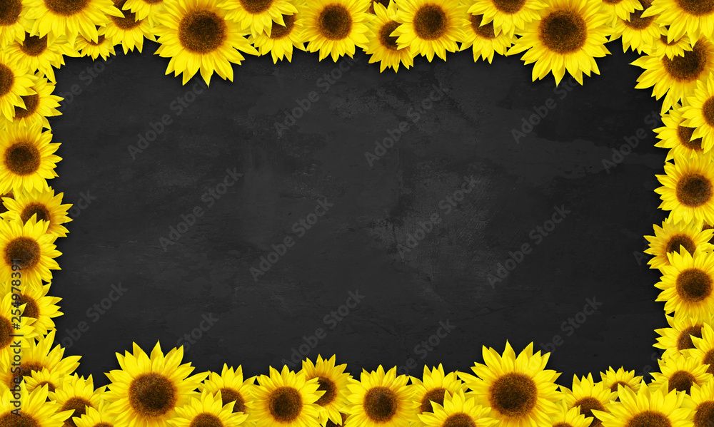 Sunflower Blackboard Border Stock Illustration Adobe Stock