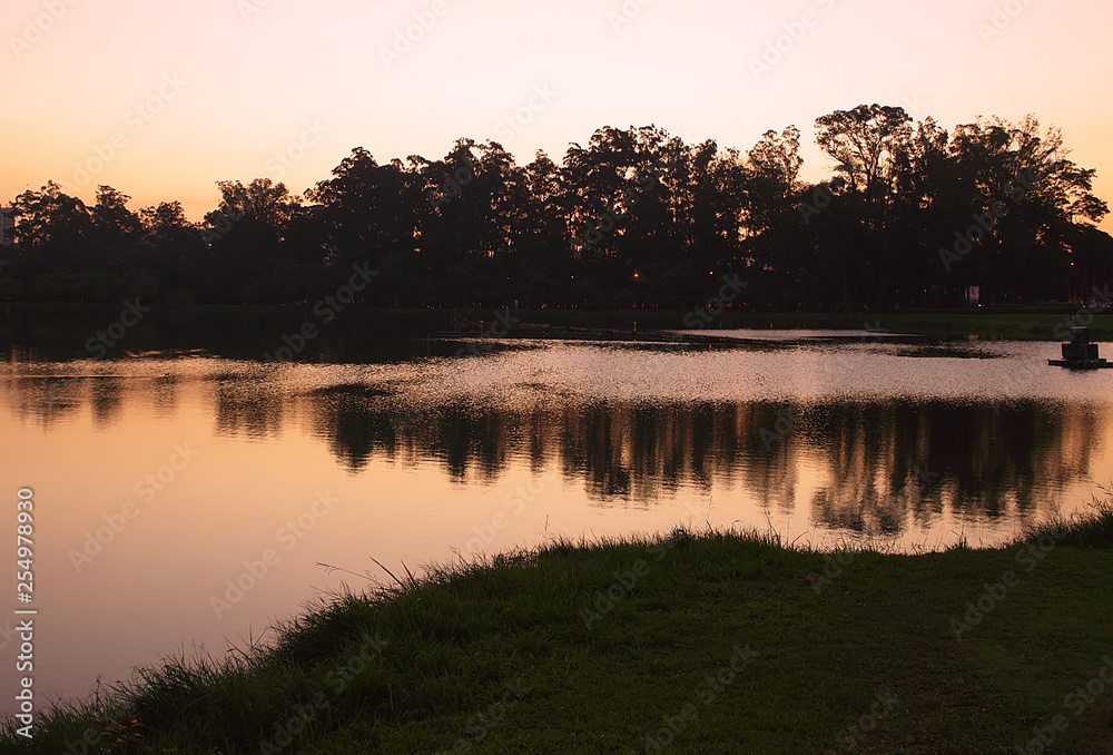 Ibirapuera Park in Sao Paulo, Brazil. Beautiful park in the middle of the biggest Brazilian city. Nature showing its beauty amidst great buildings. Ibirapuera Park in Sao Paulo, Brazil. Beautiful park in the middle of the biggest Brazilian city. Nature showing its beauty amidst great buildings.