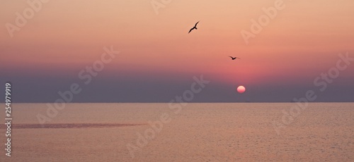 sunset on the beach © fox213200