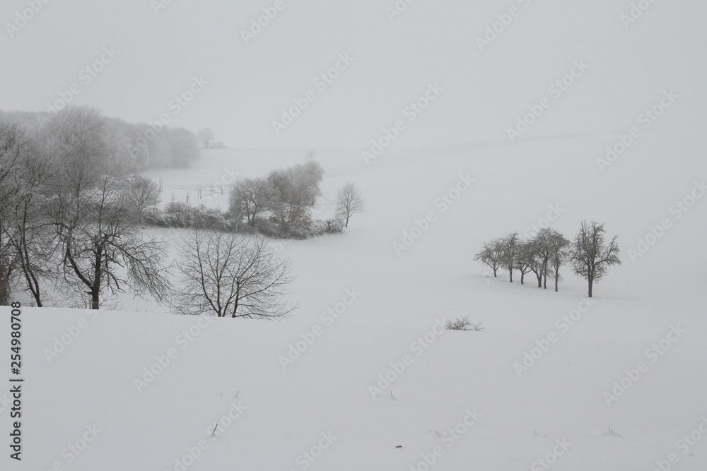 winter winter