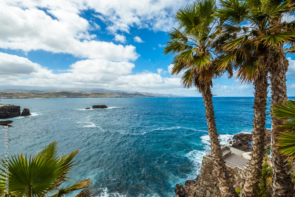 Tourism and travel. Windy day on the ocean. Cacti and palm trees on the seashore. Canary Islands, Atlantic Ocean. Tropics