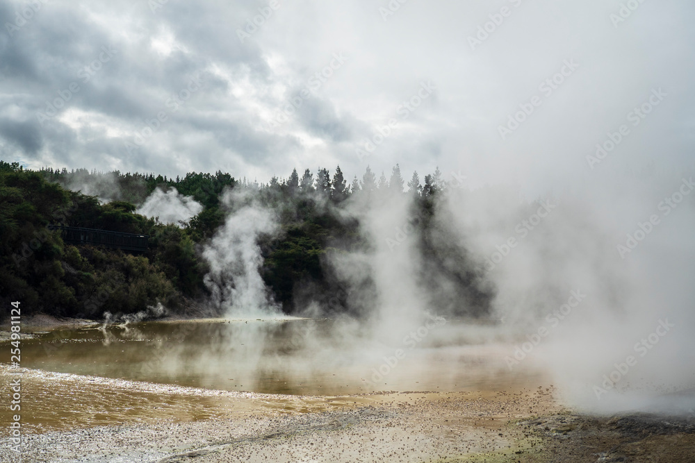 Wai-O-Tapu Thermal Wonderland near Rotorua, New Zealand 4