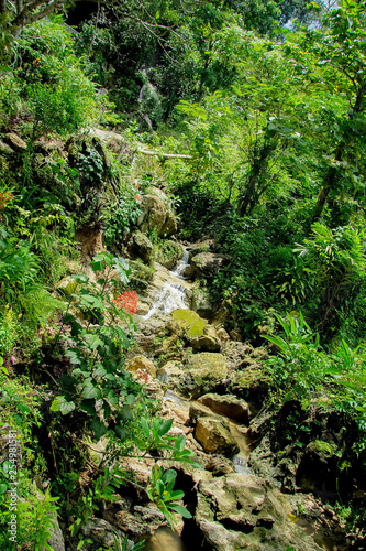 selarong waterfall in bantul, yogyakarta