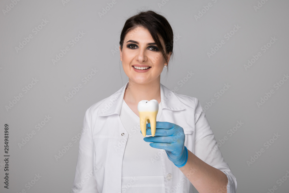 Dentist holds in his hand tooth model for education in laboratory. Dentist holds in his hand tooth model for education in laboratory.