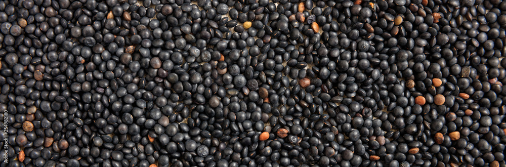 Black lentils uncooked full background, banner, top view Black lentils uncooked full background, banner, top view