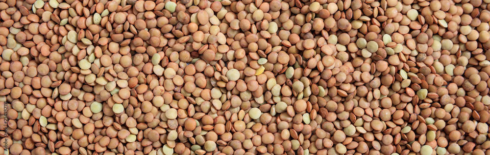 Brown lentils uncooked full background, banner, top view Brown lentils uncooked full background, banner, top view
