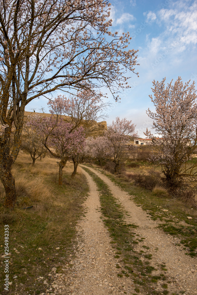 The town of Morella on top of the mountain