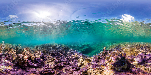 360 underwater photo of a coral reef in Palmyra Atoll in the Pacific Ocean 
