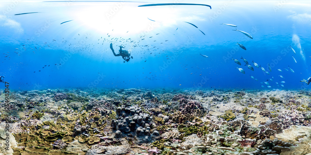 Fototapeta premium 360 of divers over healthy coral