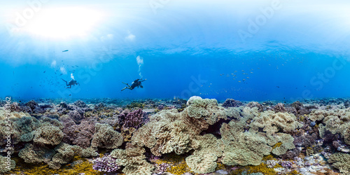 Fototapeta Naklejka Na Ścianę i Meble -  360 of divers over healthy coral