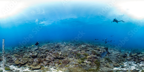 360 of divers over healthy reefscape © The Ocean Agency