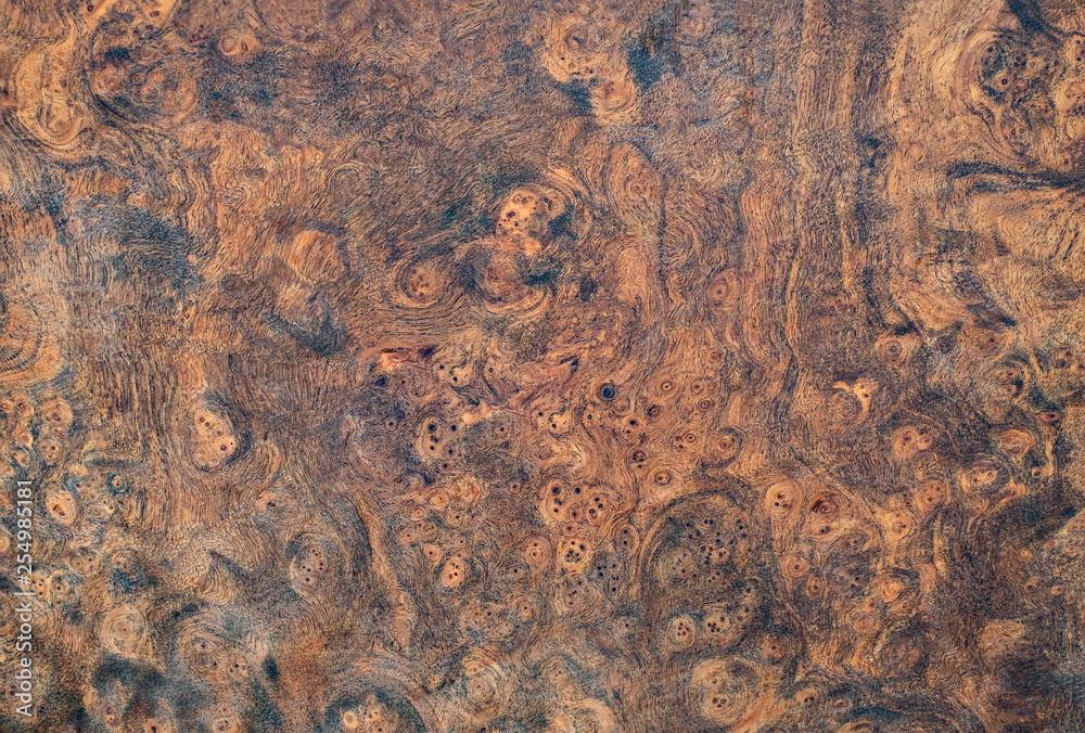 Real burl wood striped for Picture prints interior decoration, Exotic wooden beautiful pattern for crafts or abstract art texture background