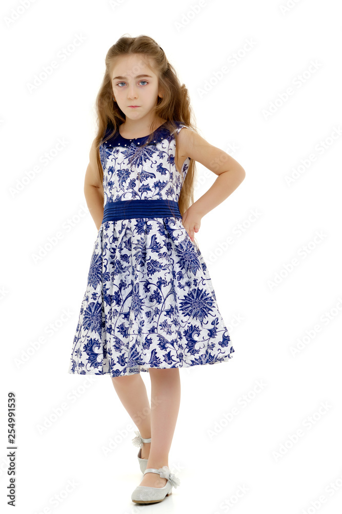 Little girl in an elegant dress. Little girl in an elegant dress.