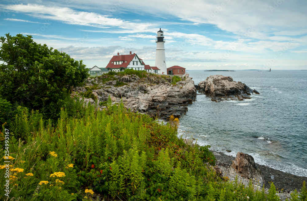 Summertime Wildflowers by Oldest Lighthouse in Maine