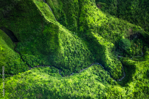 beautiful nature landscape in Kauai island Hawaii. View from helicopter,plane,top. Forest. Mountains. Ocean. View . Drone