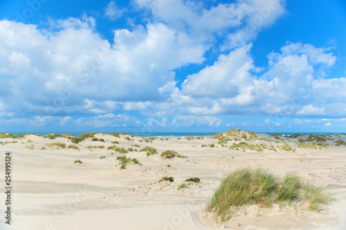Landscape Dunes in front of empty beach