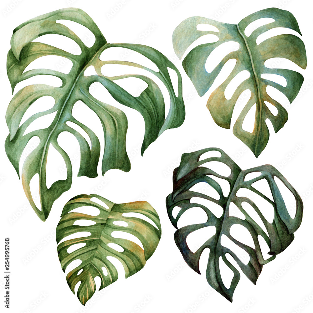 Obraz Set of tropical leaves. Watercolor.