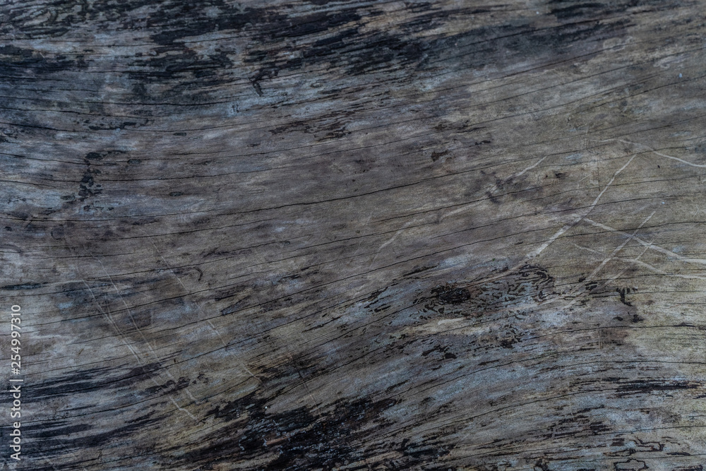 old wood texture