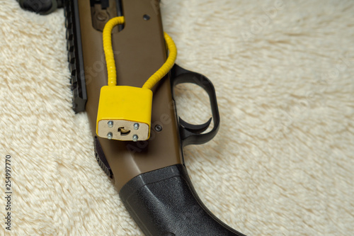 Bild auf Leinwand Shotgun with Chamber Lock Showing Gun Safety