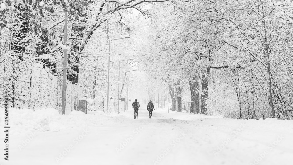 Walk in the winter Walk in the winter