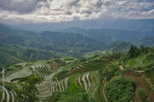 Rice Terrace China